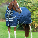 Horseware Amigo Insulator Med 200 gr Coperta da Paddock