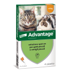 Advantage 40 mg Spot-On per Gatti e Coniglii < 4 kg - 4 x 0,4 ml