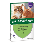 Advantage 80 mg Spot-On per Gatti e Coniglii > 4 kg - 4 x 0,8 ml
